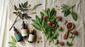 Tratamiento natural de la menopausia: comparativa THS, plantas y complementos