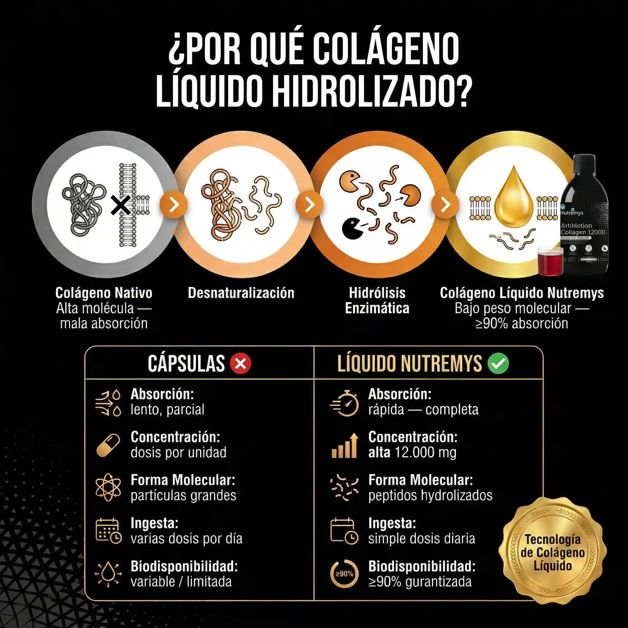 ArtiMotion Collagen 12000 · Proceso absorción colágeno líquido vs cápsulas
