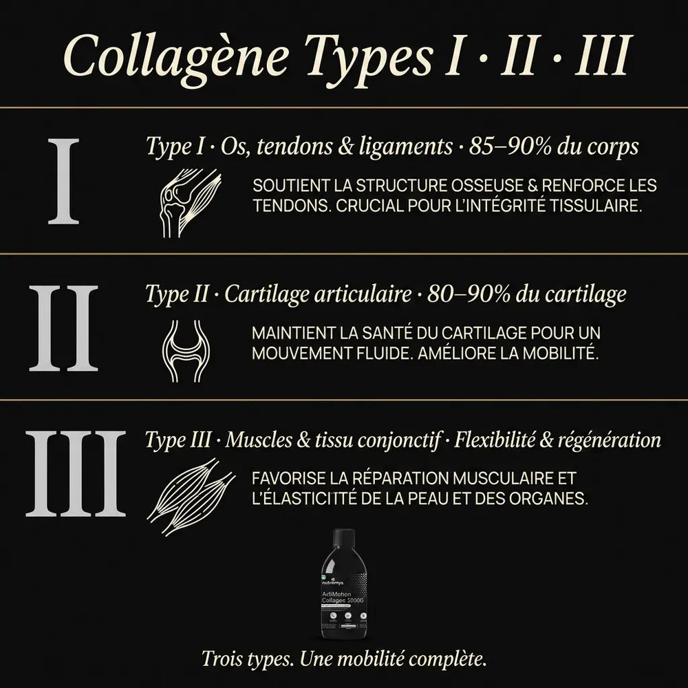 ArtiMotion Collagen 12000 collagène types I II III · formule liquide complète │ Nutremys LAB
